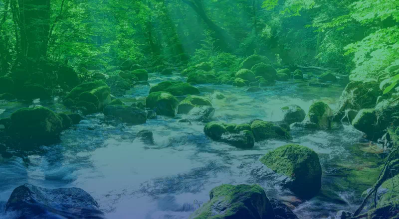 サステナビリティ イメージ